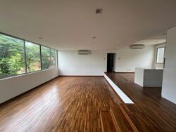 Nassim Regency (D10), Condominium #610339661